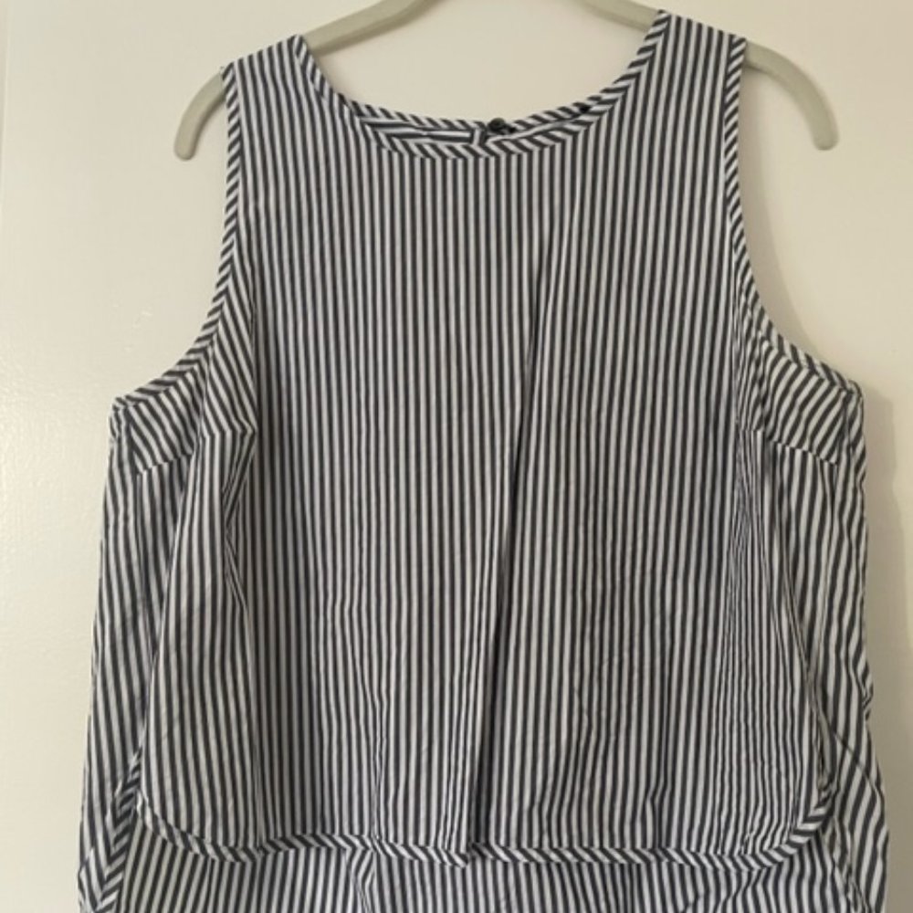 Madewell Blue and White Striped Tank Top